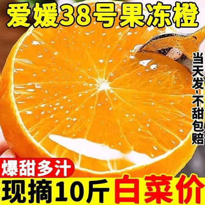 爱媛果冻橙皮薄多汁香甜美味