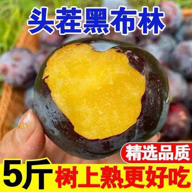黑布林大精品李子新鲜水果带托盘酸甜黑布朗黑宝石甜李子带箱5斤 - 实物图