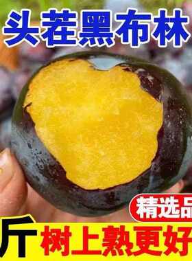 黑布林大精品李子新鲜水果黑布朗黑宝石甜李子带箱5斤现摘采摘