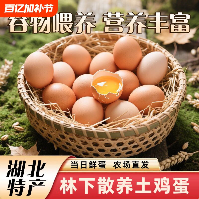 正宗土鸡蛋大别山散养新鲜鸡蛋虫草月子蛋老人早餐谷物蛋农场喂养