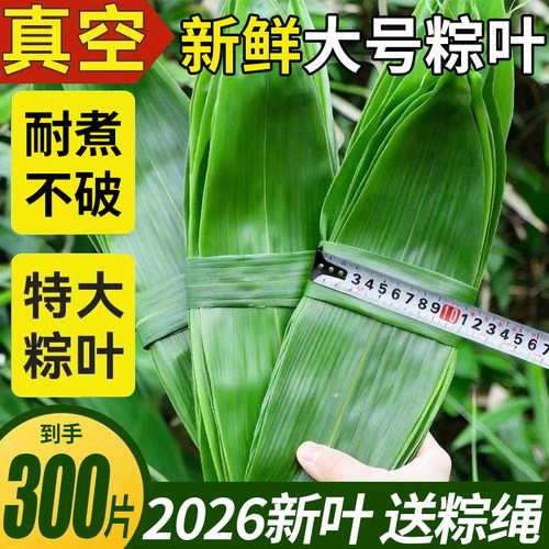 粽叶新鲜粽子叶大号包粽子专用