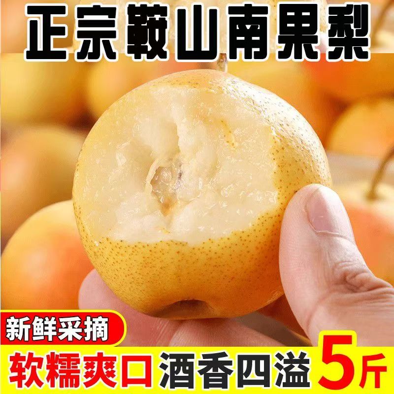 鞍山南果梨海城南果梨东北特产新鲜采摘