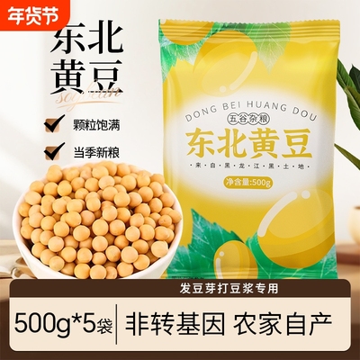东北黄豆当季新货农家自种大豆五谷杂粮打豆浆发豆芽专用非转基因