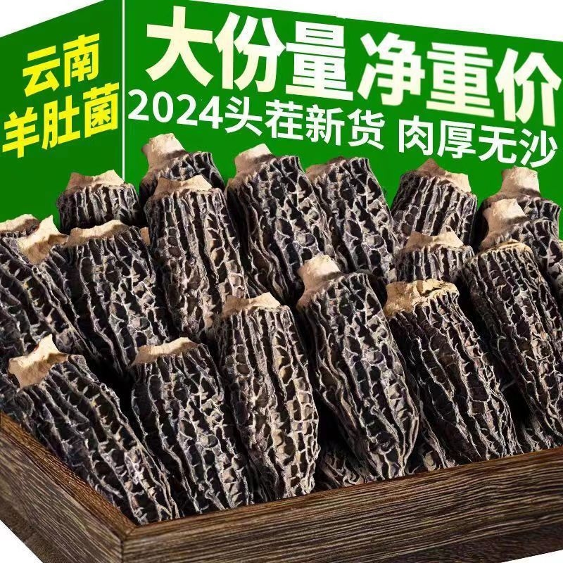 精品头茬羊肚菌净重20克独立包装