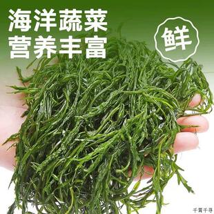 鞭炮笋长寿菜凉拌菜盐渍马尾藻火锅麻辣烫炮仗笋海草泡笋无添加