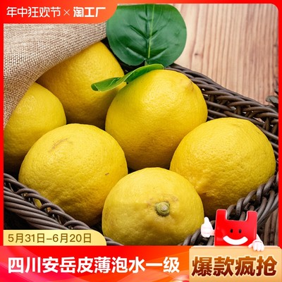 四川安岳黄柠檬 皮薄泡水一级新鲜水果