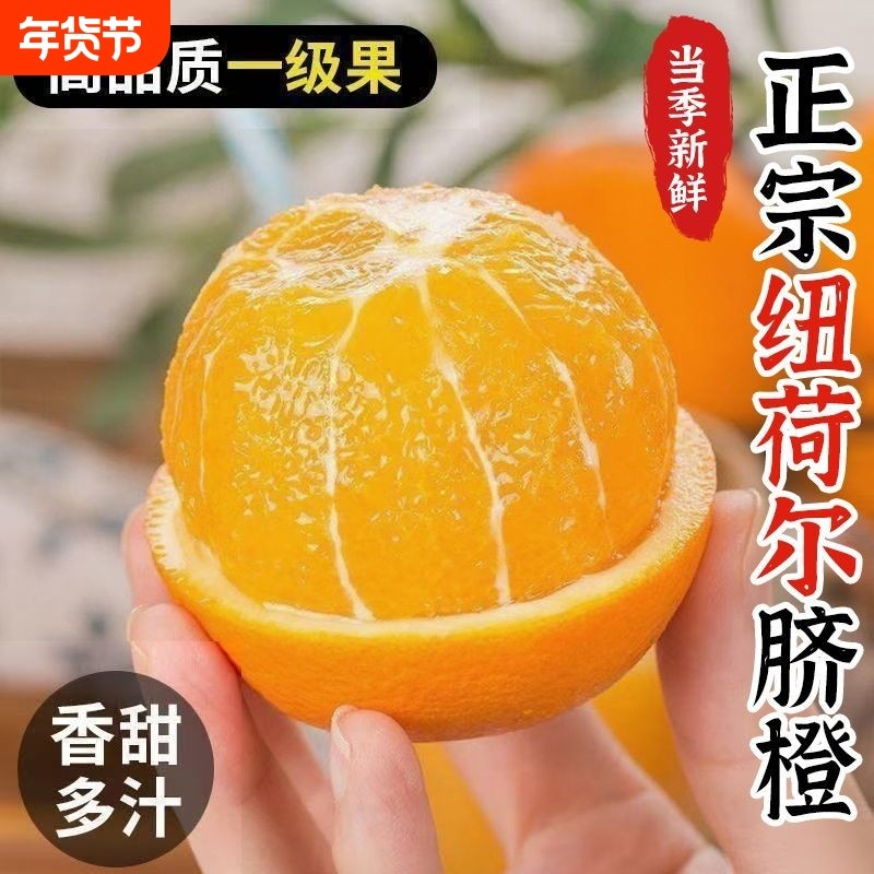 现摘正宗纽荷尔脐橙产地直发脐橙当季新鲜水果橙子5优选年货精品