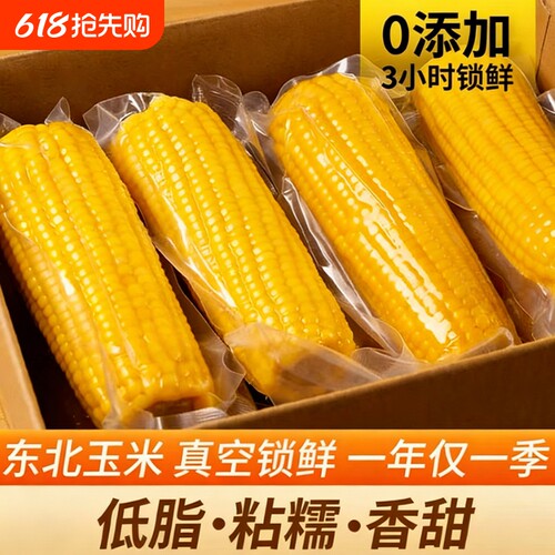 东北黄糯玉米香甜软糯东北粘黏苞米整箱装真空锁鲜加热即食非冷冻