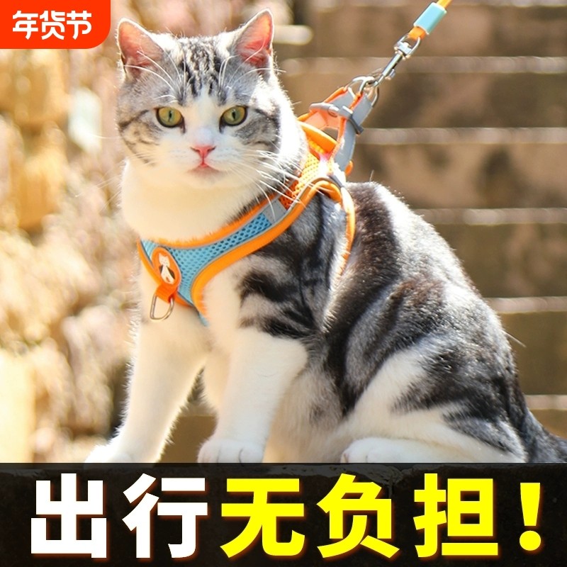 【猫咪防挣脱牵引绳】猫绳小型犬胸背带绳子溜猫绳宠物遛狗牵狗绳,宠物/宠物食品及用品,猫牵引绳,淘宝优惠券,粉丝福利购,淘宝优惠卷