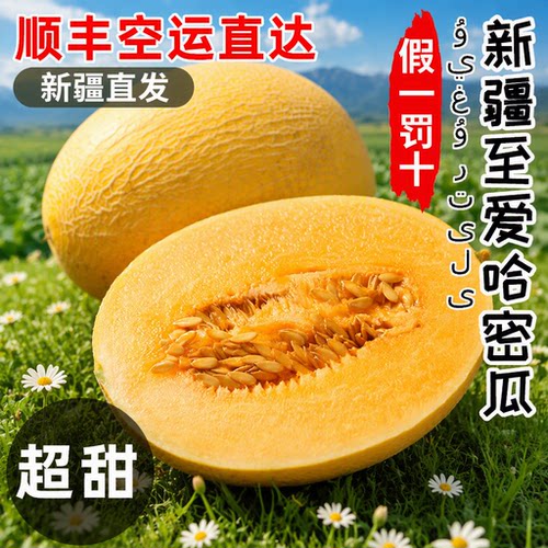 正宗新疆吐鲁番火焰山哈密瓜黄皮西州蜜当季新鲜水果顺丰包邮网纹