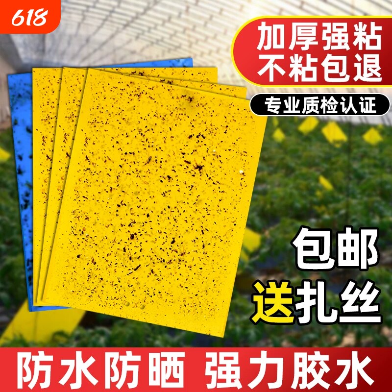 黄板双面粘虫板大棚菜园小飞虫果蝇诱捕器粘蚊贴苍蝇贴果园粘蝇纸