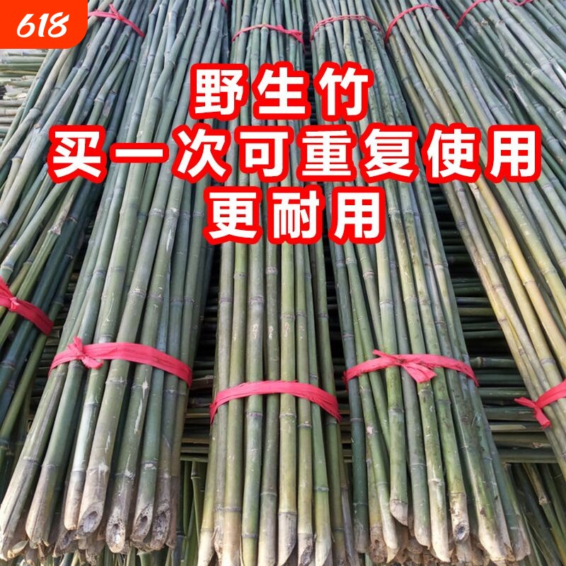 竹竿菜园搭架蔬菜黄瓜番茄豆角架杆竹篱笆小竹子细竹竿爬藤架围栏