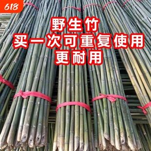 竹竿菜园搭架蔬菜黄瓜番茄豆角架杆竹篱笆小竹子细竹竿爬藤架围栏