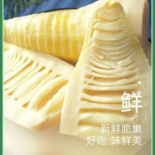 冬笋 新鲜 5斤装竹笋野生现挖春笋冬笋水煮清水笋火锅笋尖陀螺笋
