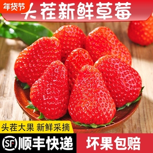 【顺丰】红颜草莓长丰应季产地直发新鲜现摘奶油草莓正宗大棚草莓