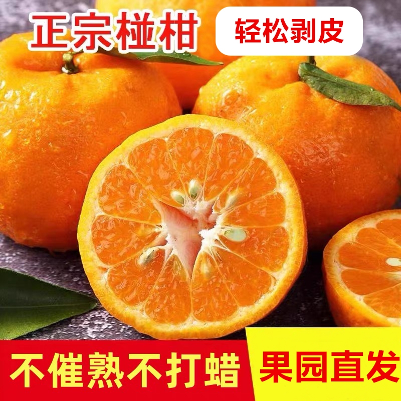 果园直发新鲜宜昌椪柑黄皮椪柑橘芦柑孕妇水果丑橘子手剥丑柑酸甜