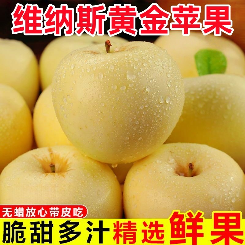 正宗维纳斯黄金苹果新鲜水果礼盒山东烟台苹果秋冬当季应季包邮,水产肉类/新鲜蔬果/熟食,苹果,淘宝优惠券,粉丝福利购,淘宝优惠卷