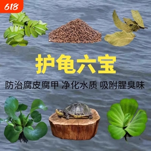 乌龟专用缸造景缸龙眼木晒台防腐皮腐甲浮萍真水草造景用品龟缸