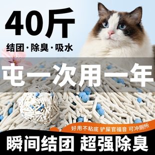 雨夜喵豆腐猫砂超强除臭吸水结团大包实惠装豆腐沙膨润土猫砂包邮