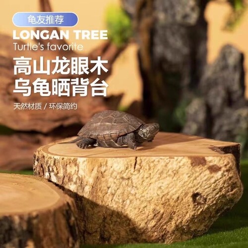 高山龙眼木乌龟晒台龟缸造景摆件天然沉木爬台爬坡休息台防腐皮