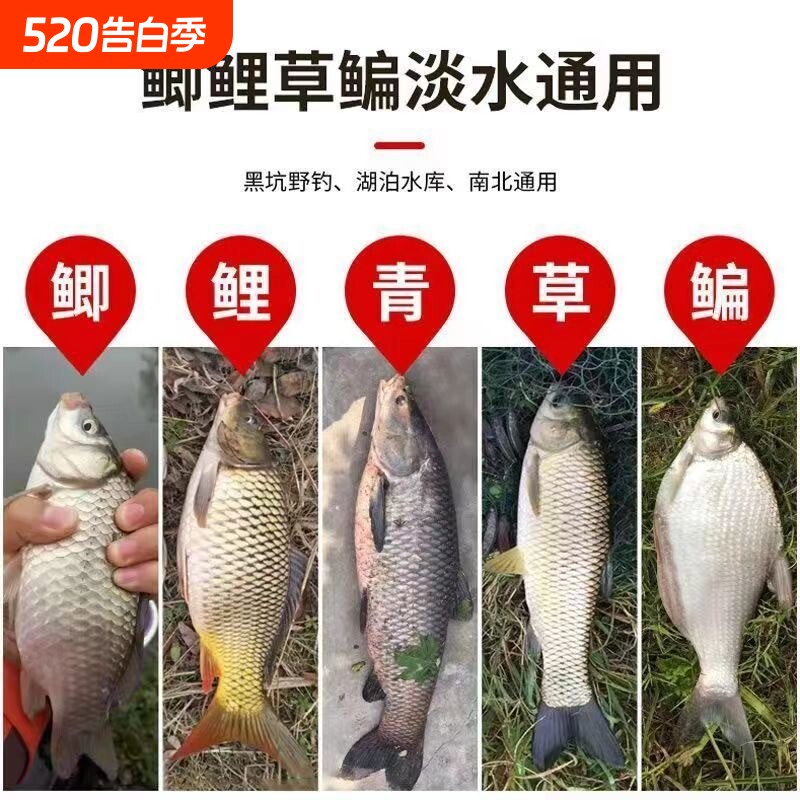 新款野钓黑坑腥香鱼饵活动专享正品昆虫蛋白鲫鲤草鱼通用强效诱鱼