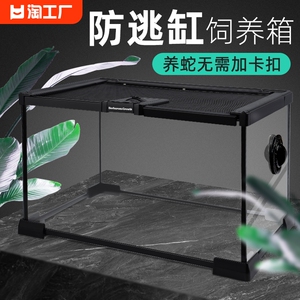 玻璃爬宠饲养箱雨林造景生态缸蜥蜴睫角守宫角蛙蜘蛛宠物蛇饲养盒