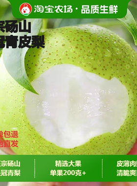 现货砀山青皮梨子苹果梨当季新鲜水果甘甜清香包邮农场