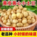 恩施小土豆现挖农家新鲜黄心土豆蔬菜迷你马铃薯洋芋黄皮香甜