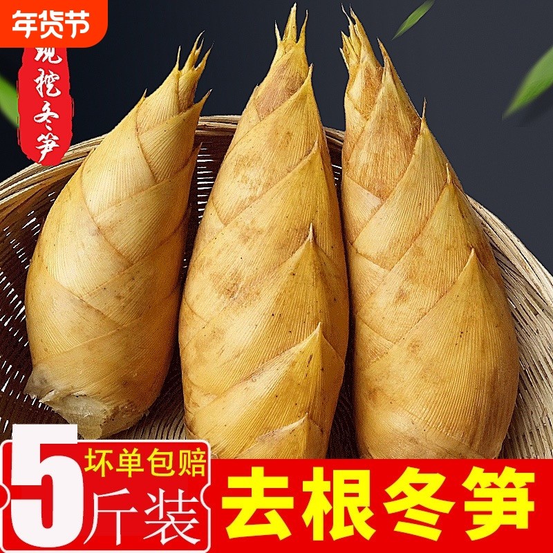 冬笋新鲜黄泥嫩笋带壳毛竹笋尖现挖现发高山野生农家蔬菜火锅配菜