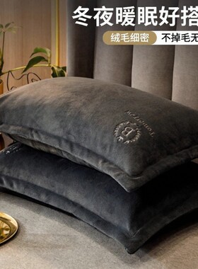 加厚牛奶绒枕套单个枕头套一对装冬季珊瑚绒48cmx74cm枕芯内胆套2