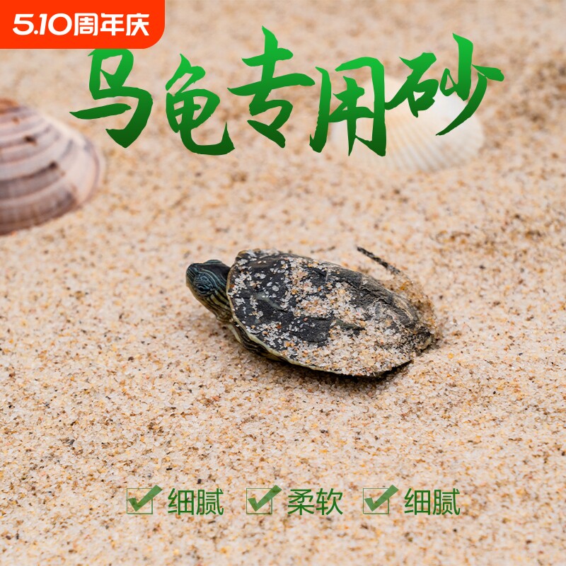 乌龟冬眠孵化用细河沙鱼缸装饰造景底砂草龟鳄龟巴西龟下蛋用砂
