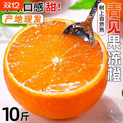 鲜正鲜爱媛果冻橙新鲜橙子水果四川正宗甜橙蜜桔子柑橘大果香甜果