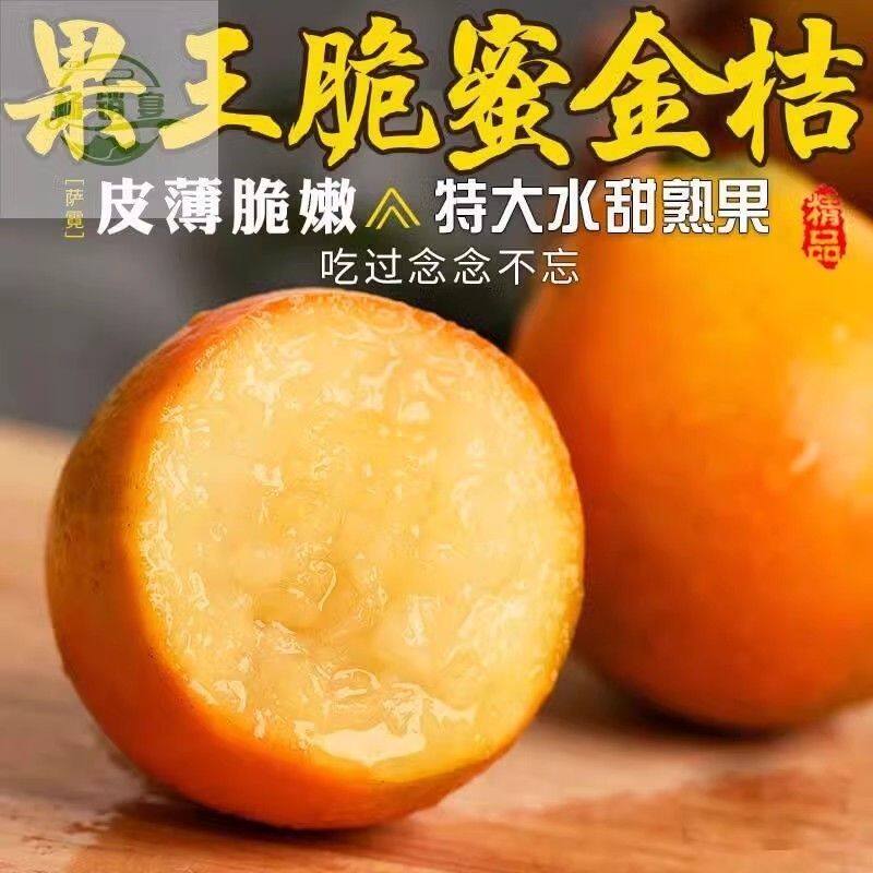 正宗广西脆蜜金桔金柑5斤第三代当季水果金桔鲜果金橘纯甜融安