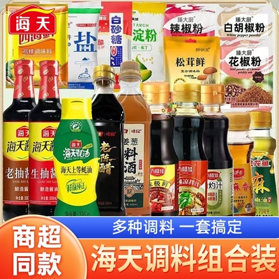 海天调料组合装佐料大全全套调味品做饭炒菜厨房烹饪提鲜调味家用