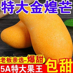 正宗海南金煌芒纸核芒果树上熟金辉金皇芒金黄芒新鲜水仙芒包邮