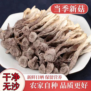 鹿茸菇干货特产鹿茸菌煲汤食材菌类香菇优质新鲜健康年货美味源头