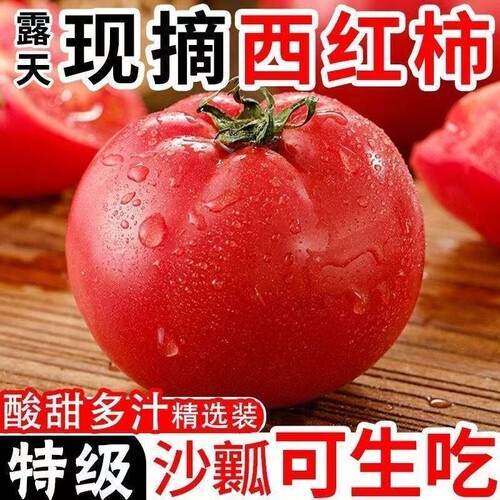沙瓤番茄当季新鲜现摘