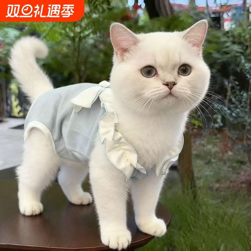 宠物秋季猫咪护肚衣小型犬幼犬包肚睡衣泰迪四脚衣服绝育服薄款