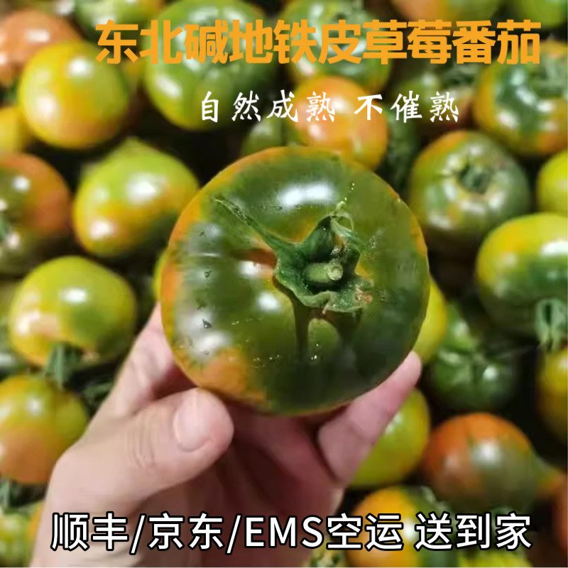 辽宁特产碱地柿子草莓番茄铁皮西红柿生吃自然成熟不催熟水果番茄