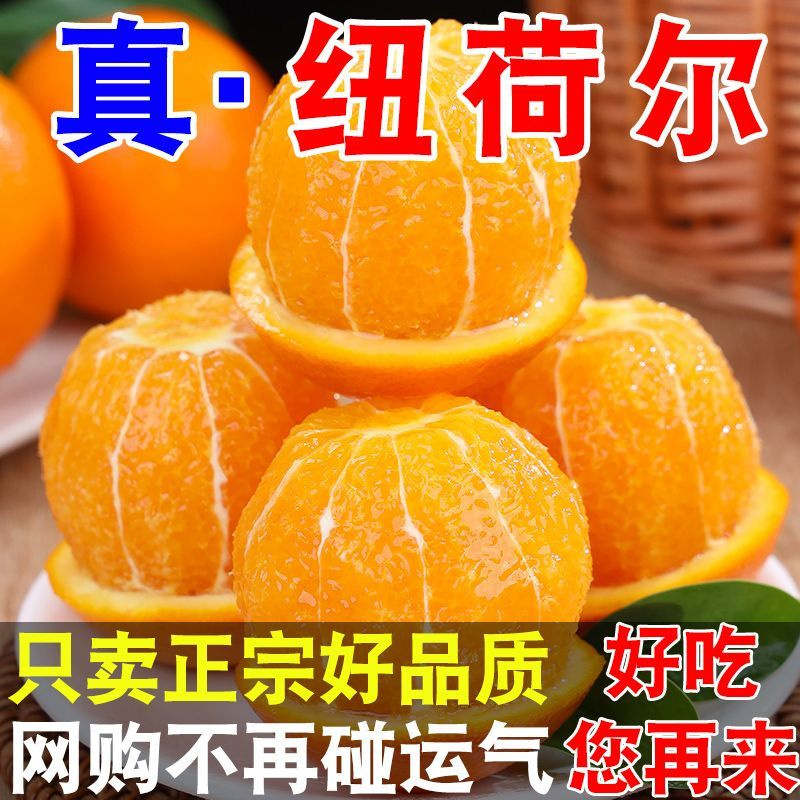 当季现摘新鲜橙子秭归纽荷尔鲜果水果甜橙子孕妇水果多规格