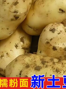 贵州新鲜农家黄心土豆马铃薯