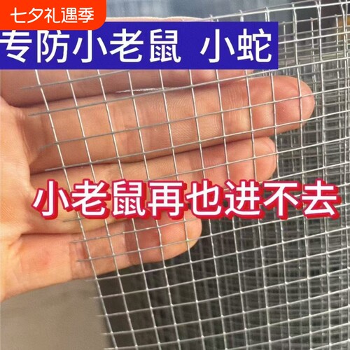 不锈钢镀锌铁丝网鱼塘栏杆电焊网