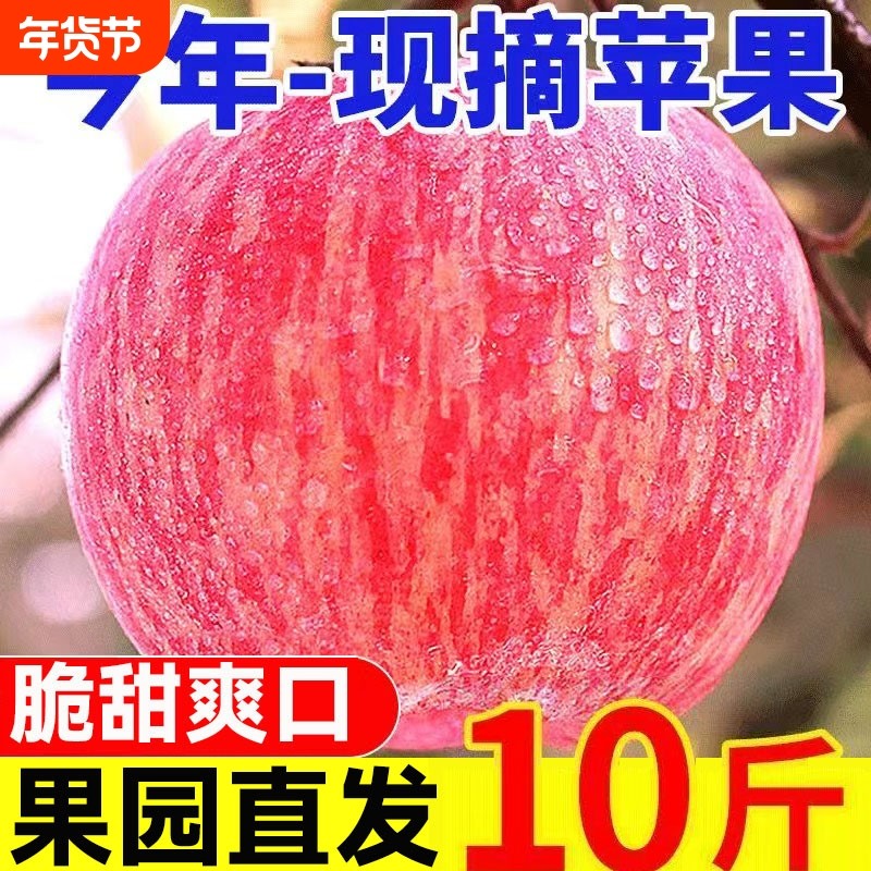 正宗陕西红富士苹果脆甜冰糖心丑苹果新鲜当季水果整箱10包邮斤,水产肉类/新鲜蔬果/熟食,苹果,淘宝优惠券,粉丝福利购,淘宝优惠卷