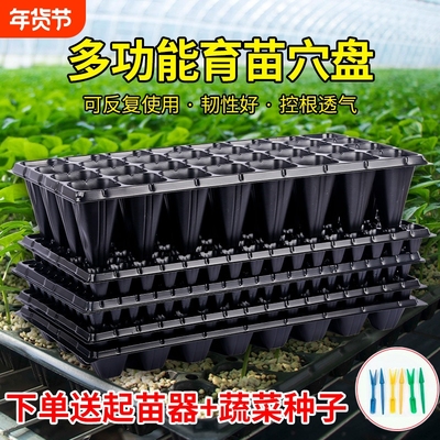 育苗盘穴盘辣椒西瓜培育伊槿