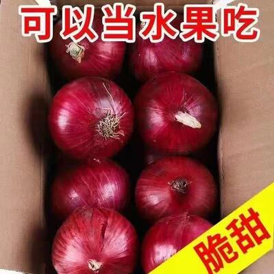 紫皮洋葱头秋四季红皮圆葱农家大田蔬菜现挖新鲜水果
