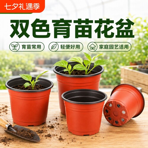 多肉育苗花卉盆绿植盆塑料花盆育苗盆花插盆育苗杯营养盆