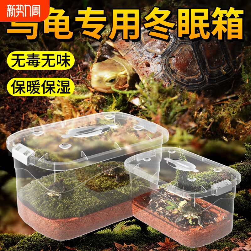 乌龟冬眠专用箱保暖角蛙守宫寄居蟹鬃狮蜥水陆两栖饲养盒蜥蜴喂食