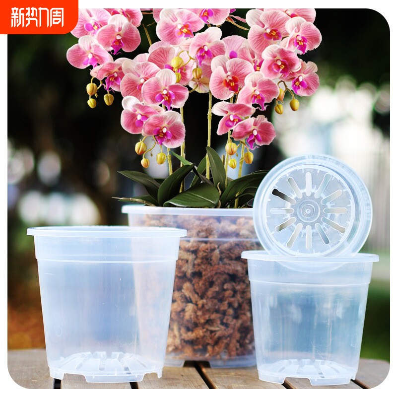 大号蝴蝶兰花器高透明硬质塑料蕙兰养根观根盆青山花盆加厚控根盆