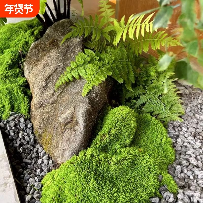 美空花舍仿真苔藓布草坪装饰透水耐老化户外假青苔绿植草皮假植物