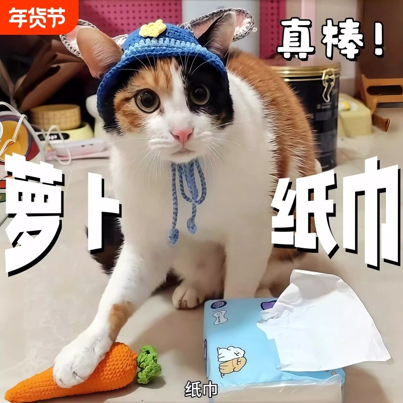 萝卜纸巾猫咪同款猫玩具可爱胡萝卜解闷磨牙磨爪纸绳萝卜宠物玩具,宠物/宠物食品及用品,逗猫棒,淘宝优惠券,粉丝福利购,淘宝优惠卷